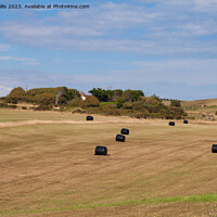Buy canvas prints of Harvested South Downs Fields by Sally Wallis