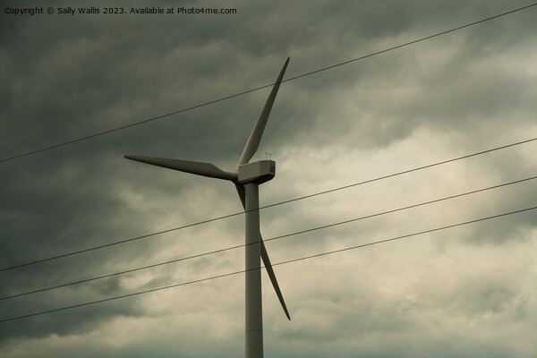Wind turbine against clouds Picture Board by Sally Wallis