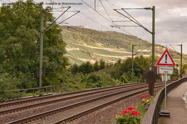 Railway Line Trechtingshausen Picture Board by Sally Wallis
