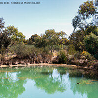 Buy canvas prints of Small pond surrounded by gum-trees by Sally Wallis