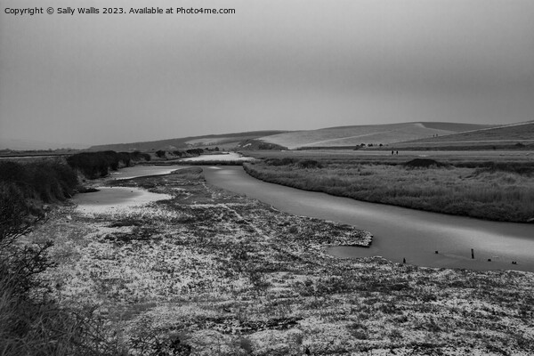 Cuckmere Valley Desolate Picture Board by Sally Wallis