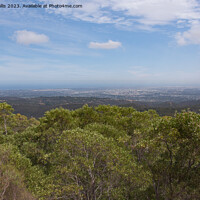Buy canvas prints of Adelaide from Mount Lofty by Sally Wallis