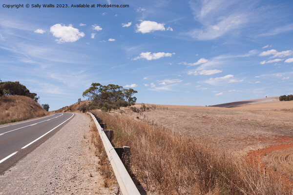 Bend in the Open Road Picture Board by Sally Wallis