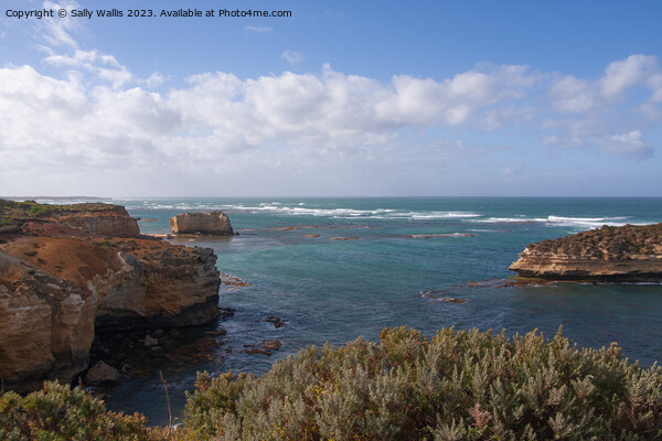 View from Great Ocean Road Picture Board by Sally Wallis