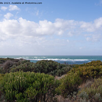 Buy canvas prints of Southern Ocean through Heathers by Sally Wallis