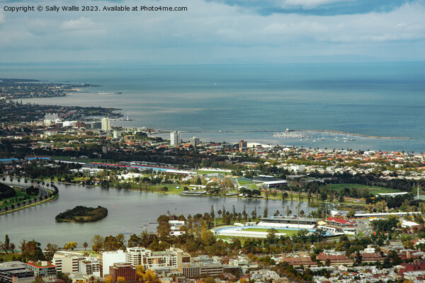 Melbourne coast from on high Picture Board by Sally Wallis