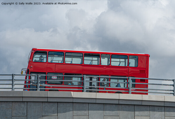 London Bus on Bridge Picture Board by Sally Wallis