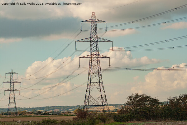 Pylons  Picture Board by Sally Wallis
