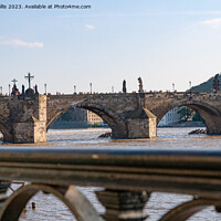 Buy canvas prints of The Charles Bridge, Prague by Sally Wallis