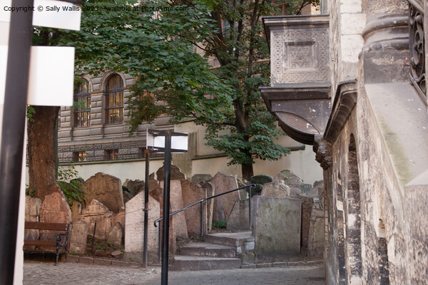 The Jewish Cemetery, Prague Picture Board by Sally Wallis