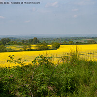 Buy canvas prints of Rapeseed on South Downs by Sally Wallis