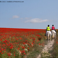 Buy canvas prints of Horses through poppies by Sally Wallis