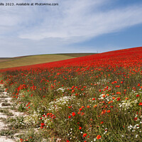 Buy canvas prints of Trail over South Downs by Sally Wallis