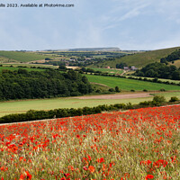 Buy canvas prints of South Downs view by Sally Wallis