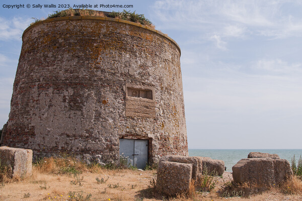 Martello Tower, Pevensey Bay, East Sussex Picture Board by Sally Wallis