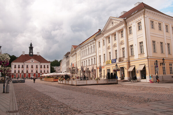 The Main Square, Tartu Picture Board by Sally Wallis