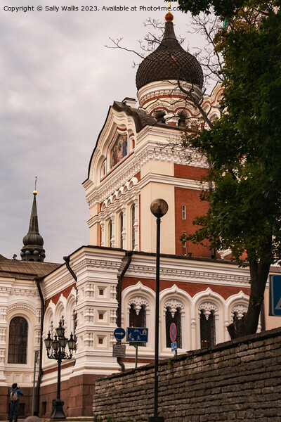 Aleksander Nevski Cathedral, Tallinn Picture Board by Sally Wallis