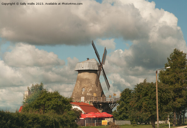 A Windmill beside the Highway Picture Board by Sally Wallis