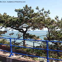 Buy canvas prints of blue railings and pine trees by Sally Wallis