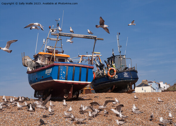 Hastings fishing boats Picture Board by Sally Wallis