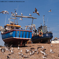 Buy canvas prints of Hastings fishing boats by Sally Wallis