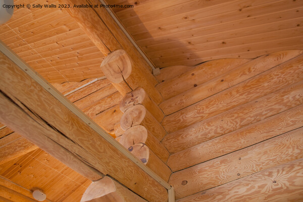 log cabin ceiling Picture Board by Sally Wallis