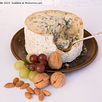 Buy canvas prints of Stilton Cheese with grapes & walnuts by Sally Wallis
