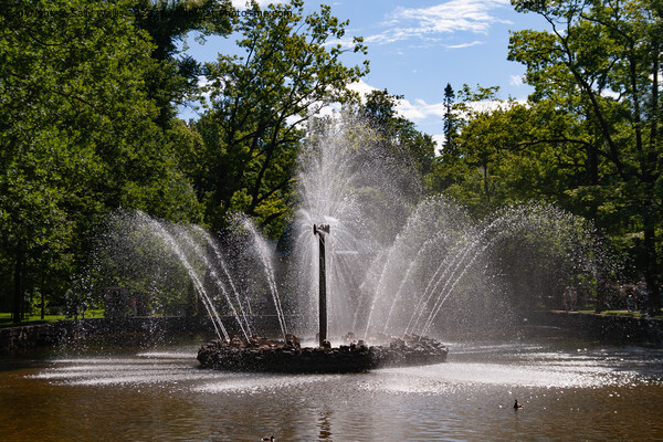 Spectacular fountain in Peterhof, St Petersburg Picture Board by Sally Wallis