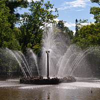 Buy canvas prints of Spectacular fountain in Peterhof, St Petersburg by Sally Wallis