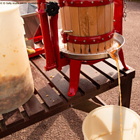 Buy canvas prints of My weekend 4 - Juice extraction by Sally Wallis