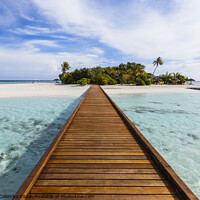 Buy canvas prints of Wooden jetty to a tropical island, Maldives by Matteo Colombo