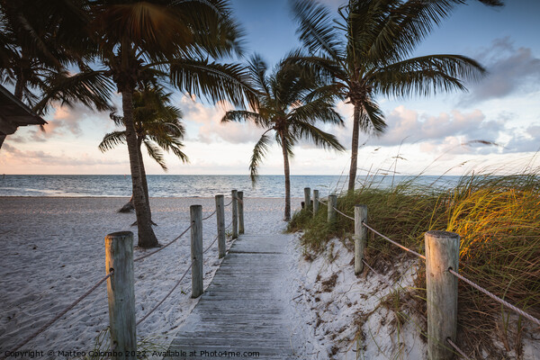 Boardwalk leading to the beach, Key West, Florida Picture Board by Matteo Colombo