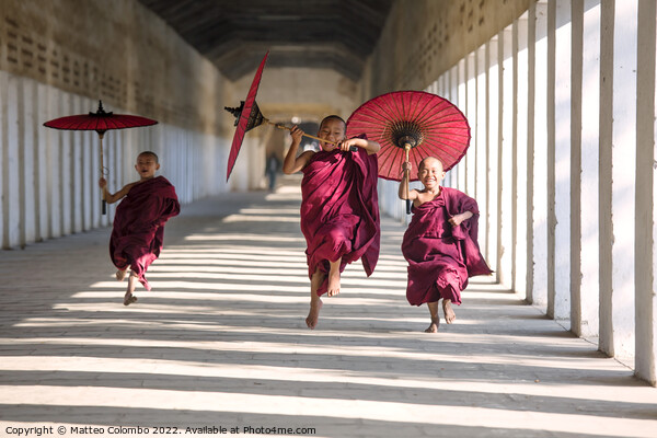 Novice monks with umbrellas running at temple, Bagan, Myanmar Picture Board by Matteo Colombo