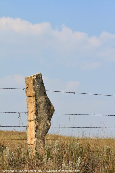 Stone Post fence with a field and blue sky Picture Board by Robert Brozek