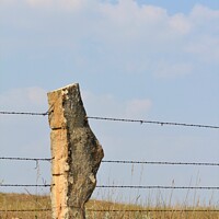 Buy canvas prints of Stone Post fence with a field and blue sky by Robert Brozek