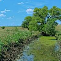 Buy canvas prints of Plant tree in a field with water and blue sky by Robert Brozek