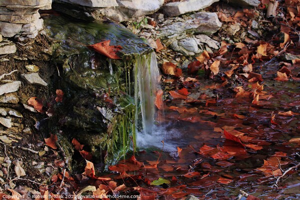 Waterfall with fall leaves, moss and rock closeup Picture Board by Robert Brozek
