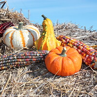 Buy canvas prints of Decorative Pumpkin with corn on a hay stack by Robert Brozek