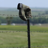 Buy canvas prints of Cowboy boot on a fence with grass by Robert Brozek