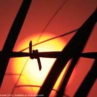Buy canvas prints of Abstract Sunset with fence by Robert Brozek