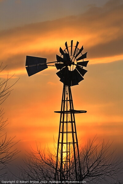 Kansas Golden Sunset with a windmill silhouette Picture Board by Robert Brozek
