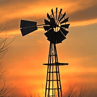 Buy canvas prints of Kansas Golden Sunset with a windmill silhouette by Robert Brozek