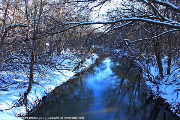 Snowy creek with water and trees Picture Board by Robert Brozek