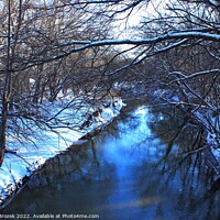 Buy canvas prints of Snowy creek with water and trees by Robert Brozek
