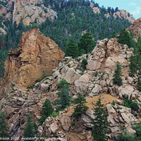 Buy canvas prints of Colorado Rocky Mountains with trees by Robert Brozek