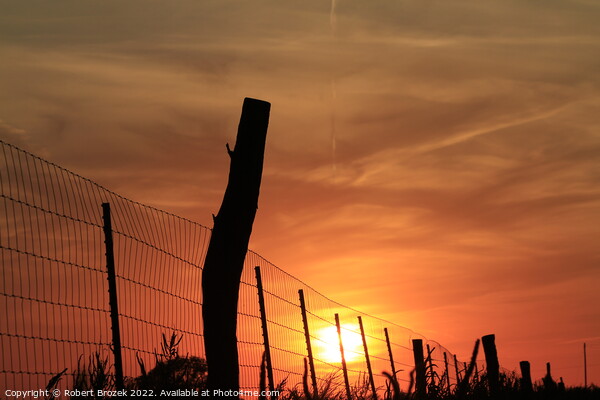 Outdoor sunset with Sun and fence silhouette Picture Board by Robert Brozek