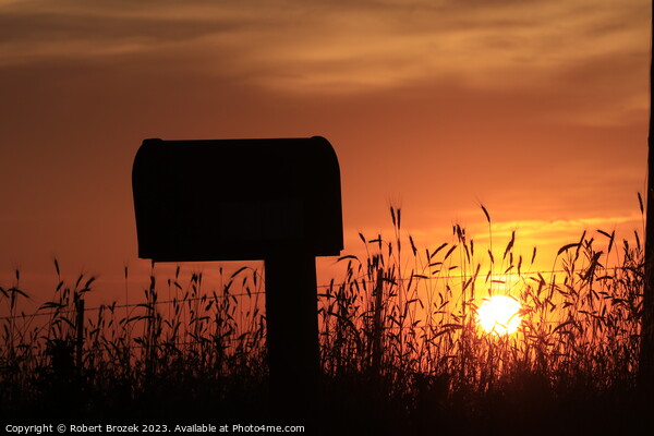 Kansas Country Mail Box at Sunset Picture Board by Robert Brozek