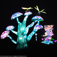 Buy canvas prints of Night Light Abstract Toadstools and Dragonflies by Paul Stearman