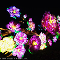 Buy canvas prints of Colourful Abstract Flowers taken at Night by Paul Stearman