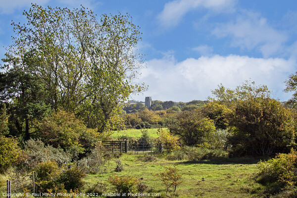 Holme Church View From Beach Walk Picture Board by Paul Mindy Photography